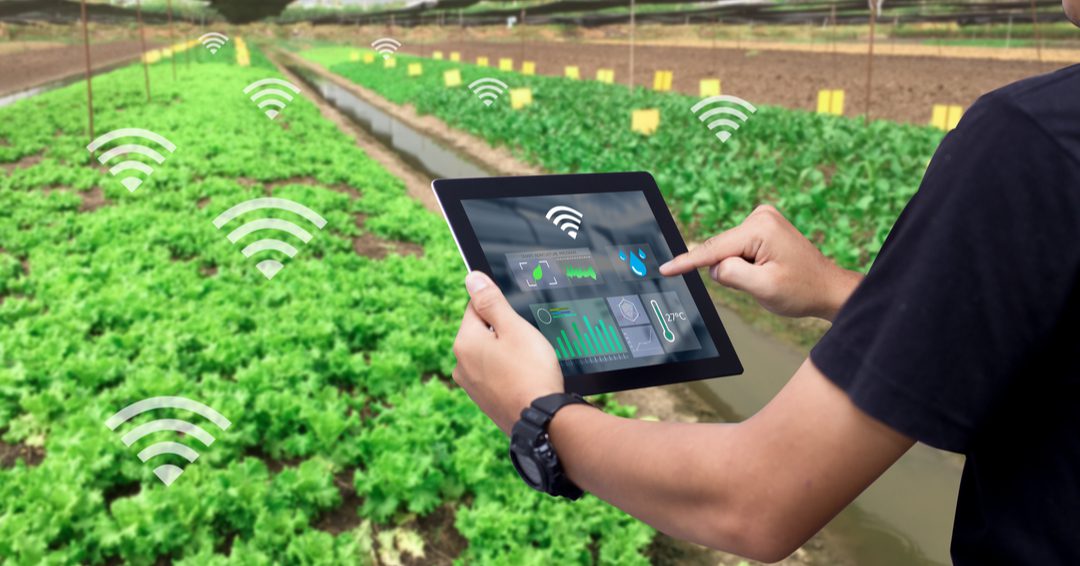 Meet the agritech startups lending Indian farmers a helping hand 