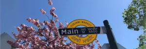 Indian language | Global Indian